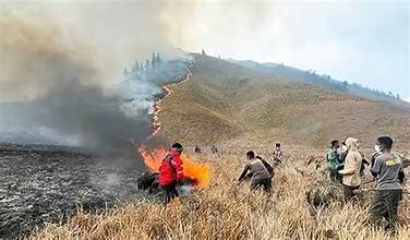 Kebakaran di Bromo yang Meluas Hingga ke Jemplang, Malang dibenarkan TNBTS