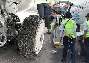 Penanganan Setelah Penerbangan