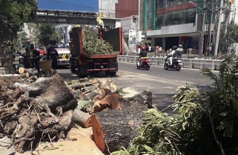 Pohon Tumbang Pandanaran, Pemkot Evaluasi Pemeliharaan RTH