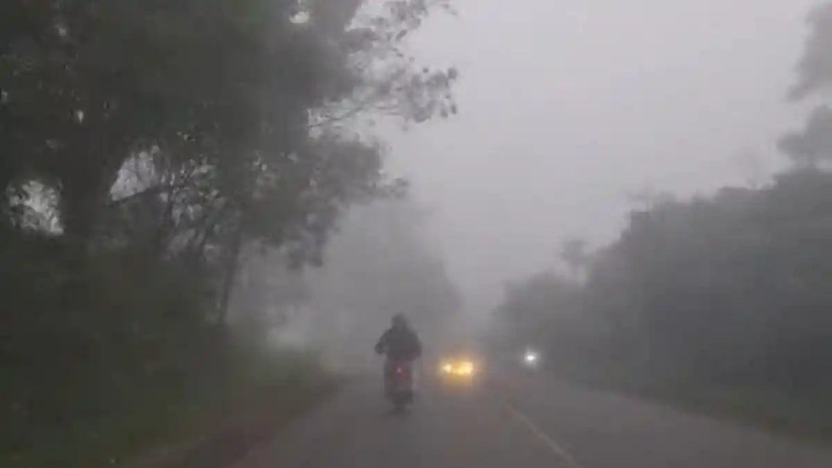 Kabut asap karhutla yang melanda jambi berdampak pada jadwal penerbangan