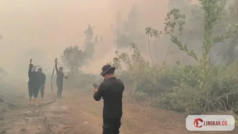 masyarakat masih merasakan dampak dari karhutla hingga menyebabkan kecelakaan karena kualitas uara yang buruk menyebabkan pandangan terganggu