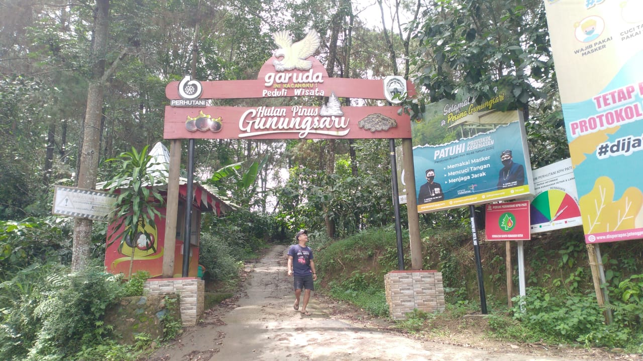 ALAM: Suasana wisata hutan pinus di Desa Gunungsari, Kecamatan Tlogowungu, Kabupaten Pati baru-baru ini.(MAULANA AINUL YAKIN/LINGKAR.CO)