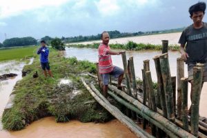 Tambak dan Sawah Terendam Banjir, Kerugian Ditaksir Ratusan Juta