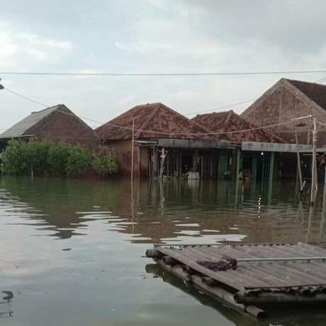 TERENDAM: Rumah warga dan jalan di Desa Timbulsloko, Kecamatan Sayung, Kabupaten Demak tergenang air banjir, Sabtu (6/2/2021). (DOK ISTIMEWA)