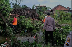 Angin Puting Beliung Terjang Desa Karangsono Sebabkan 171 Rumah Rusak