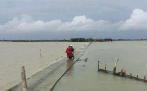 Akses Jalan Satu-Satunya Sering Diterjang Rob, Warga Mondoliko Demak Minta Relokasi
