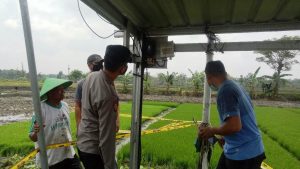 Jebakan Tikus Listrik di Sragen Kembali Makan Korban