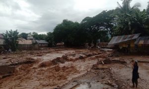 Banjir Bandang di Flores Timur, 62 Orang Meninggal Dunia