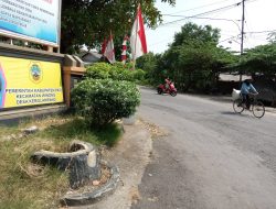 Warga Aktif Melapor, Pemdes Mudah Catat Peristiwa Kependudukan