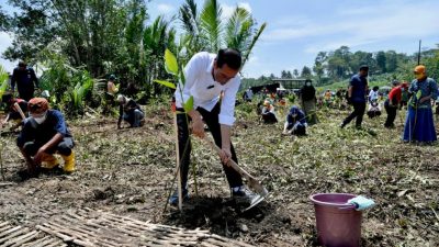 Presiden Joko Widodo, menanam pohon mangrove bersama masyarakat, di Desa Tritih Lor, Cilacap, Jateng, Kamis (23/09/2021). FOTO: BPMI Setpres/Lingkar.co