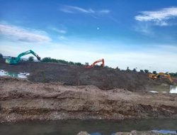 Bisa Sanksi Pidana, Akademisi Desak Pemkab Parmout Hentikan Tambak Udang di Donggulu