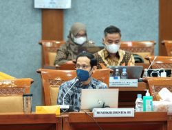 Kabar Gembira! 100.000 Guru Honorer Segera Terangkat Sebagai ASN PPPK