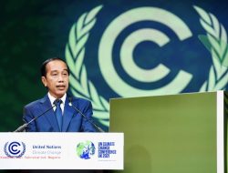 Tempatkan Aksi Iklim Dalam Pembangunan, Indonesia Siap Berbagi Pengalaman
