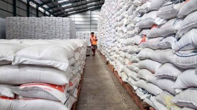 Ilustrasi Gudang Beras, Dishanpan Jateng pastikan stok pangan di Jawa Tengah aman baik untuk beras maupun sektor peternakan (Istimewa/Lingkar.co)