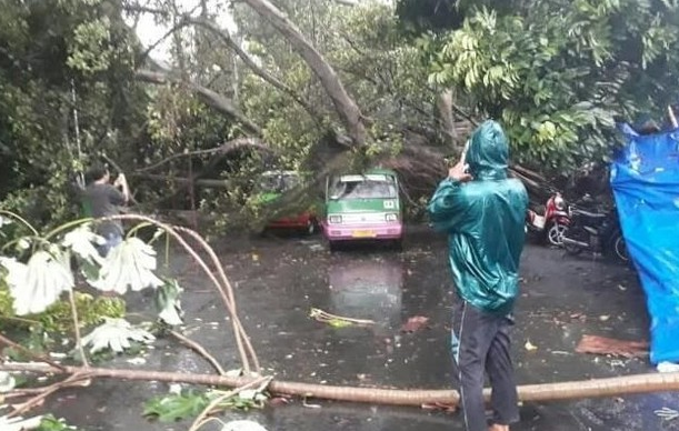 Pohon Tumbang di Bogor Akibat Angin Puting Beliung. ISTIMEWA/Lingkar.co