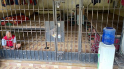 Kerangkeng Manusia di Halaman Belakang Rumah Bupati Langkat. ISTIMEWA/Lingkar.co