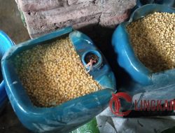 DPRD Pati Prediksi Harga Kedelai Naik Sejak Tahun Lalu