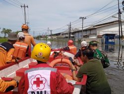 Banjir Semarang Mulai Surut, Warga Berangsur Kembali