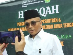 Anak Haji Lulung Mundur dari Pengurus, PPP Siapkan Pengganti