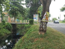 Jembatan Sepanjang Sungai Simo Bermasalah, DPUTR Pati: Harus Dibongkar