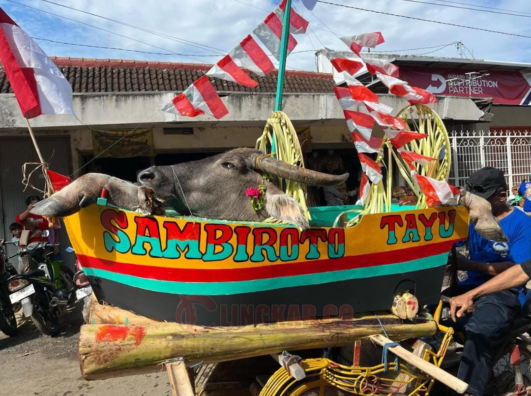 Kepala kerbau yang dilarung dalam rangka sedekah laut di Desa Sambiroto, Kecamatan Tayu, Kabupaten Pati. Foto: Miftahus Salam/Lingkar.co.