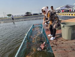 DKP Pati Usulkan Revitalisasi Ribuan Hektare Tambak Ikan Nila Salin ke Pusat