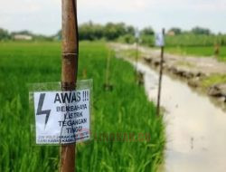 Jebakan Tikus Sering Makan Korban, PLN Ngaku Tak Punya Hak Menertibkannya