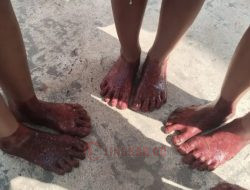 Unik, Warga Palembang Lakukan Tradisi Celup Kaki ke Darah Hewan Kurban