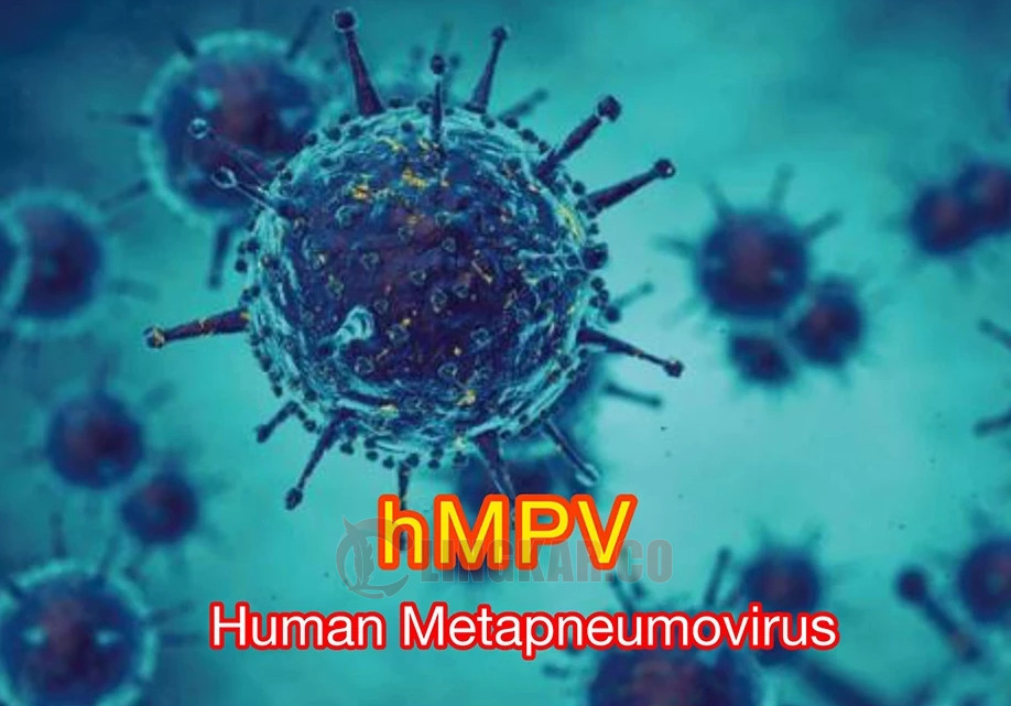 Virus HMPV. Foto: Istimewa