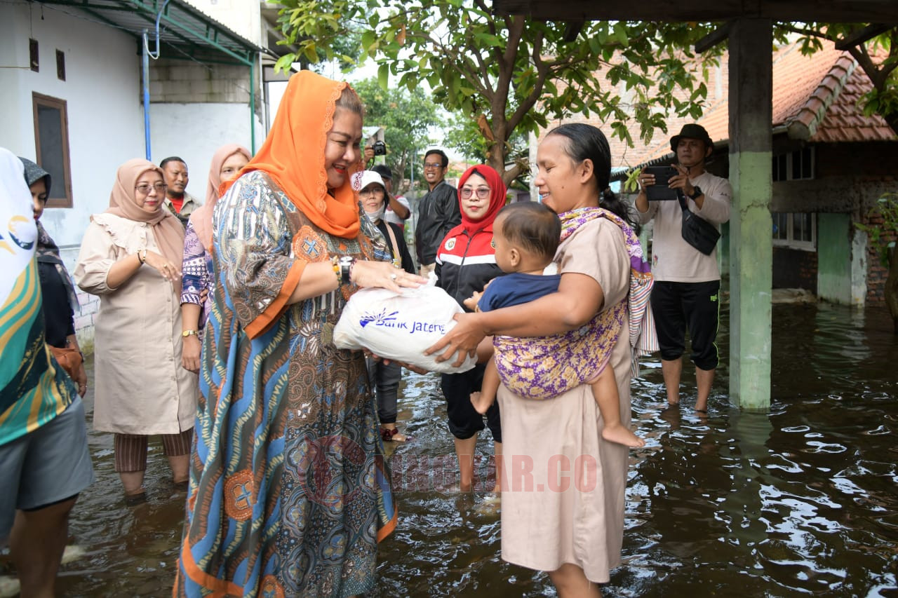 Wali kota Semarang, Hevearita Gunaryanti Rahayu tinjau banjir di Terboyo Wetan dan Trimulyo. (dok Pemkot Semarang)
