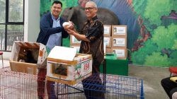 Apresiasi Kebijakan Pemkot, Mbarep Abyasa Line Donasi Satwa Eksotis di Semarang Zoo