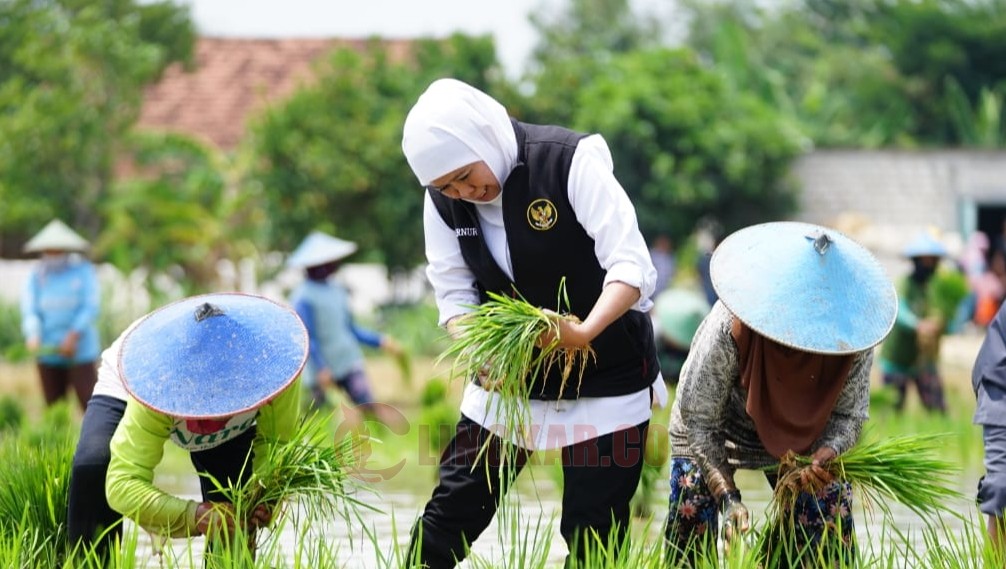 Gubernur Jawa Timur Khofifah Indar Parawansa. Foto: dok. Pemprov Jatim