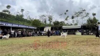 AJANG : Wabup Fajar Resmi Buka Pertunjukan Seni Ketangkasan Domba Garut. (Foto: Istimewa)