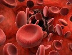 Pemprov Jabar Tekan Prevalensi Thalassemia, Perluas Edukasi dan Deteksi Dini