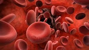 ILUSTRASI: Thalassemia, (Foto: Istimewa)