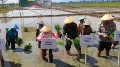 Perkuat Ketahanan Pangan Nasional, Mbak Tika Optimistis Kendal Jadi Lumbung Pangan Jawa Tengah