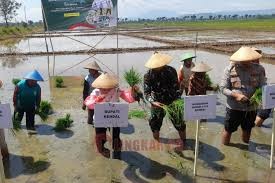Perkuat Ketahanan Pangan Nasional, Mbak Tika Optimistis Kendal Jadi Lumbung Pangan Jawa Tengah