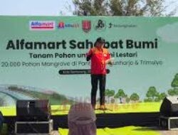 Peringati Hari Bumi 2025, Alfamart Tanam 20 Ribu Pohon Mangrove di Pantai Mangunharjo Semarang