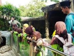 Serunya Outing Class MI NU 18 Weleri Kendal, Belajar Cinta Satwa dan Alam di Semarang Zoo