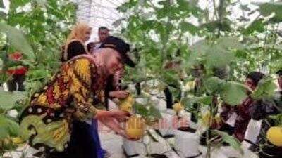 Bupati Kendal, Dyah Kartika Permanasari panen perdana hasil dari petani milenial di Desa Kalices, Kecamatan Patean, Kabupaten Kendal. (dok Istimewa)