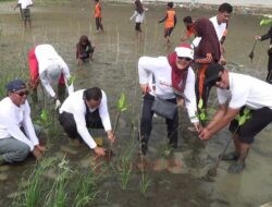 Gandeng Pelajar dan Relawan, IDI Kendal Tanam 1.000 Mangrove