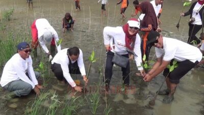 Gandeng Pelajar dan Relawan, IDI Kendal Tanam 1.000 Mangrove