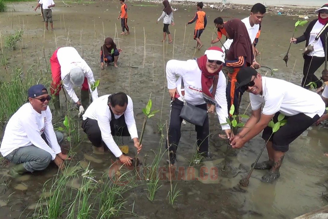 Kegiatan tanam mangrove yang dilakukan oleh IDI Cabang Kendal. Foto: Wahyudi/Lingkar.co