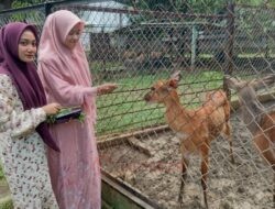 Kabar Gembira Untuk Anak-anak, Kapibara dan Sitatunga Masuk Semarang Zoo