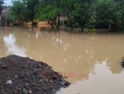 Tanggul Jebol Akibat Hujan Lebat, Ratusan Rumah dan Sawah di Pati Terendam Banjir