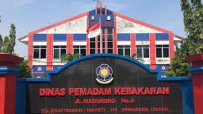 Damkar Jadi Korban Laporan Palsu, Lapor Ada Ular Ternyata Masalah Uang