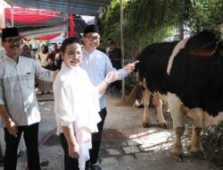Tingkatkan Solidaritas dan Toleransi, Agustina Wali kota Semarang Serahkan Hewan Kurban Pada Perayaan Idul Adha
