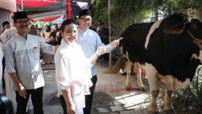 Tingkatkan Solidaritas dan Toleransi, Agustina Wali kota Semarang Serahkan Hewan Kurban Pada Perayaan Idul Adha