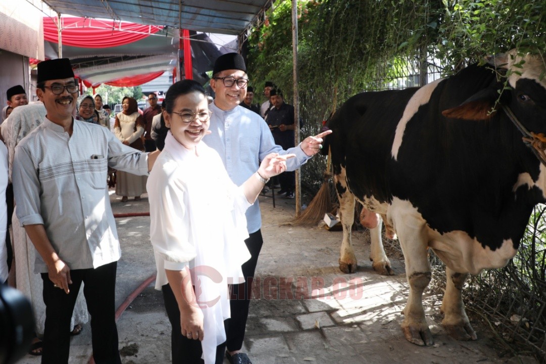 Wali Kota Semarang Agustina Wilujeng Pramestuti menyerahkan hewan kurban di kompleks Balaikota Semarang. Foto: dokumentasi