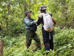 Sepekan di Hutan Bawean, Balai Besar KSDA Jawa Timur Temukan Penambangan Liar dan Pemindahan Pal Batas